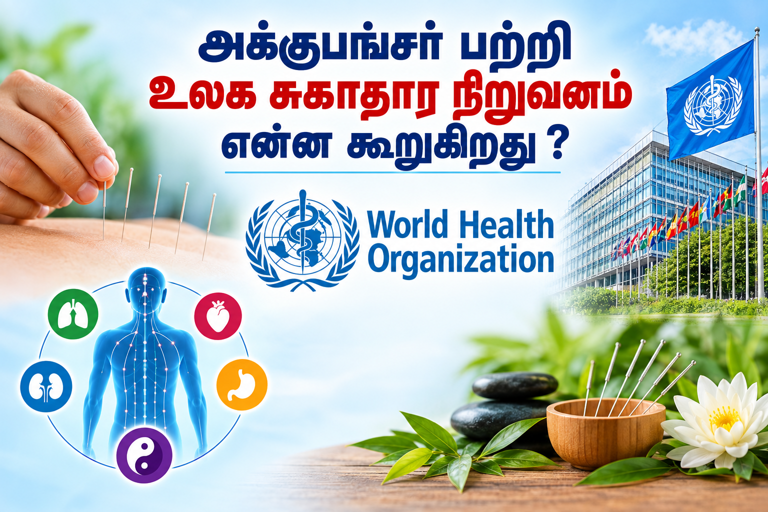 அக்குபங்சர் பற்றி உலக சுகாதார நிறுவனம்  ( WHO ) என்ன சொல்கிறது ?