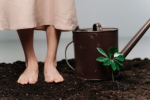 மண்ணீரலின் [Spleen] முக்கியத்துவம்!